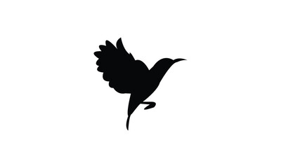 Flying Sunbird Silhouette Design  And Vector Illustration. 