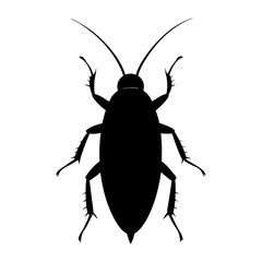 Cockroach Silhouette vector illustration