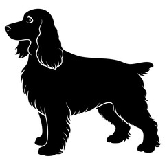 Cocker Spaniel Silhouette vector illustration