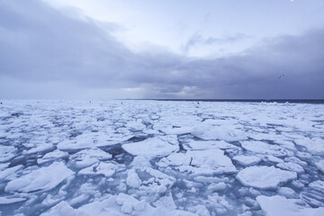 Expansive Drift Ice Landscape in Hokkaido Japan © Bossa Art