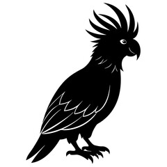 Cockatoo Silhouette vector illustration