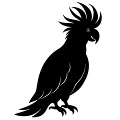 Cockatoo Silhouette vector illustration