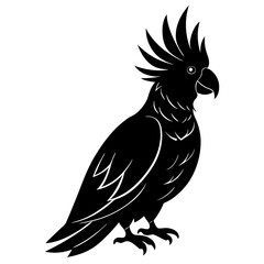 Cockatoo Silhouette vector illustration
