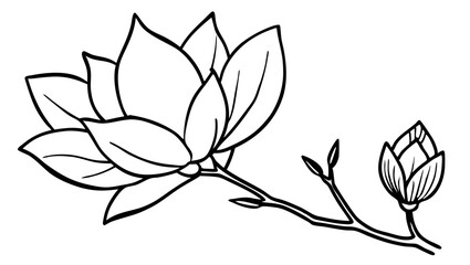 Magnolia Flower and Branch Illustration – Elegant Black and White Vector Art.