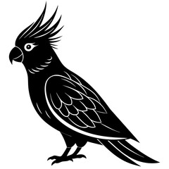 Cockatiel Silhouette vector illustration