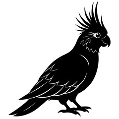 Cockatiel Silhouette vector illustration