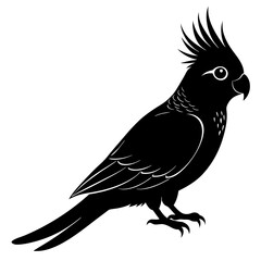 Cockatiel Silhouette vector illustration