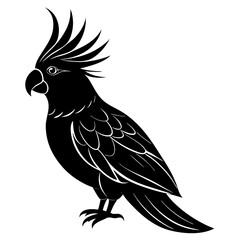 Cockatiel Silhouette vector illustration
