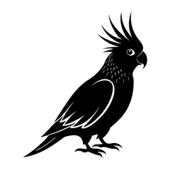 Cockatiel Silhouette vector illustration