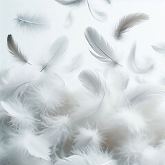 46 Soft white feathers drifting down from above The feathers var