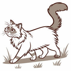 Obraz premium A detailed vector illustration of a Himalayan cat walking and observing, perfect for animal lovers and design projects.