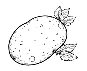 Potato Vegetable Coloring Page