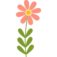 flower illustration minimal style on transparent background