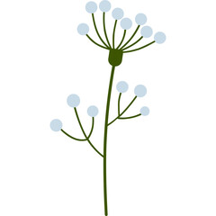 flower illustration minimal style on transparent background