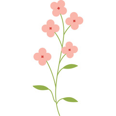 flower illustration minimal style on transparent background