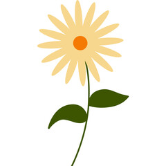 flower illustration minimal style on transparent background