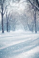 Fototapeta premium Serene Winter Landscape with Snow Falling Gently Over a Snow-Covered Pathway Surrounded by Leafless Trees and a Dreamy, Soft-Focused Background