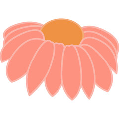 flower with color hand draw style