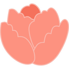 flower with color hand draw style