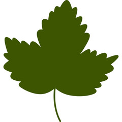 Green leaf cartoon clipart for decoration
