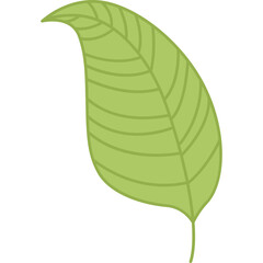 Green leaf cartoon clipart for decoration