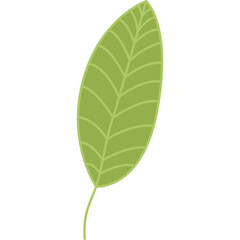 Green leaf cartoon clipart for decoration