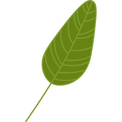 Green leaf cartoon clipart for decoration