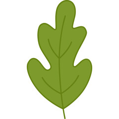 Green leaf cartoon clipart for decoration