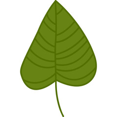 Green leaf cartoon clipart for decoration