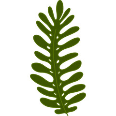 Green leaf cartoon clipart for decoration
