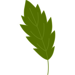 Green leaf cartoon clipart for decoration