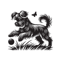 Affenpinscher Dog Silhouette - Affenpinscher Vector - Minimalist Dog Vector - Dog Illustration.