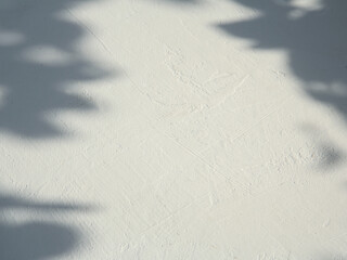 beautiful natural shadows. the shadows of the leaves against the background of a structural...