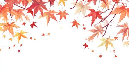 Autumn maple leaves falling on white background.