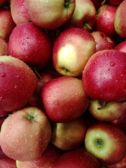 Close-up of red apples with water drops on their surface. Apples take up the entire frame.