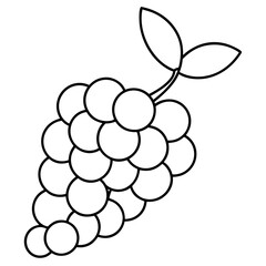 Grape art vector