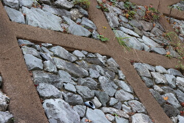 法枠と中に敷き詰めた石のアップ