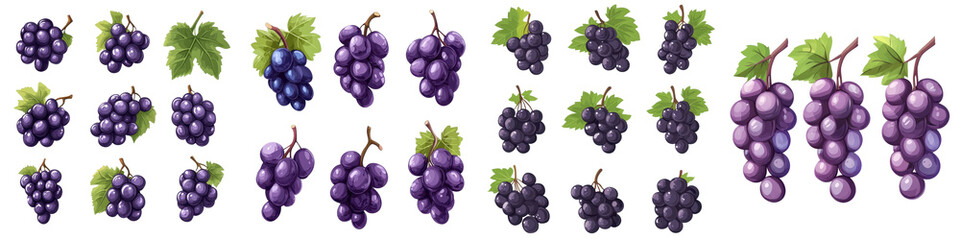 Fototapeta premium Flat style illustration of purple grapes isolated on white background. Collection Set Png.