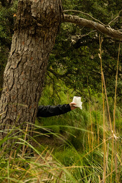 Vertical image of a hiker hiding behind a tree on a mountain holding a toilet paper in his hand doing his business, going to the bathroom in the middle of nature