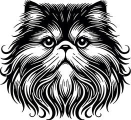 Maine Coon Cat vector black silhouette cricut design for T-shirt