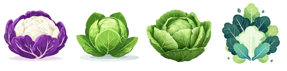 Obraz premium Flat style illustration of cabbage isolated on white background. Collection Set Png.