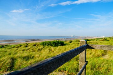 Fototapeta premium Experience the serene beauty of the Dutch coastline in Netherlands. The image showcases a pristine beach, lush dunes, and a tranquil sea beneath a blue sky with white clouds.
