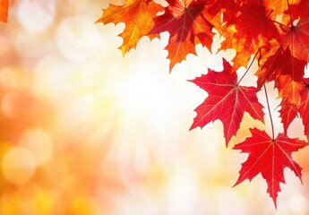 Fototapeta premium Vibrant Red Maple Leaves Against a Soft Golden Background Capturing the Beauty of Autumn Light in Nature's Splendor and Seasonal Transition