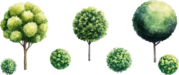 Set of watercolor green bushes Round shape with greenery, white background
