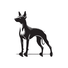 American Hairless Terrier Vector Silhouette - Dog Illustration.