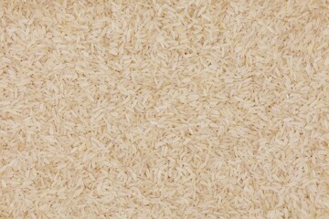 Raw long grain rice in top view. Rice background.
