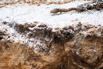 A detailed close up view of a rock that is covered with a lot of dirt