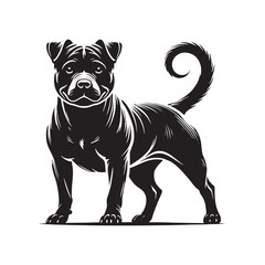 American Staffordshire Terrier Silhouette - American Staffordshire Terrier Illustration - Minimalist Dog Vector.