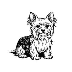 Yorkshire Terrier silhouette. vector cartoon illustration isolated on white background