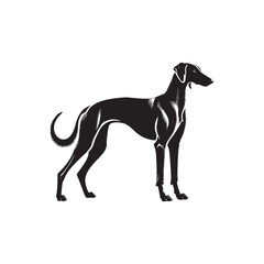 American Staghound Vector - Minimalist Design - American Staghound Silhouette - Illustration of Dog.